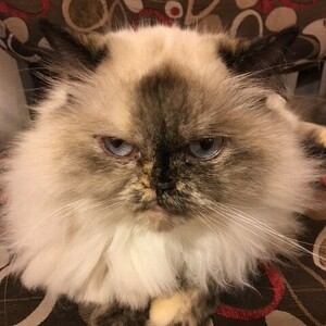 Fundraising Page: Sabine E. Jeunette